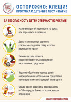 Осторожно: клещи! Прогулка с детьми в лесу и парке Осторожно: клещи! Прогулка с детьми в лесу и парке.