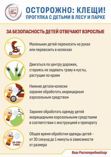 Осторожно: клещи! Прогулка с детьми в лесу и парке Осторожно: клещи! Прогулка с детьми в лесу и парке.